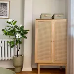 Lejlighed Magnoliya